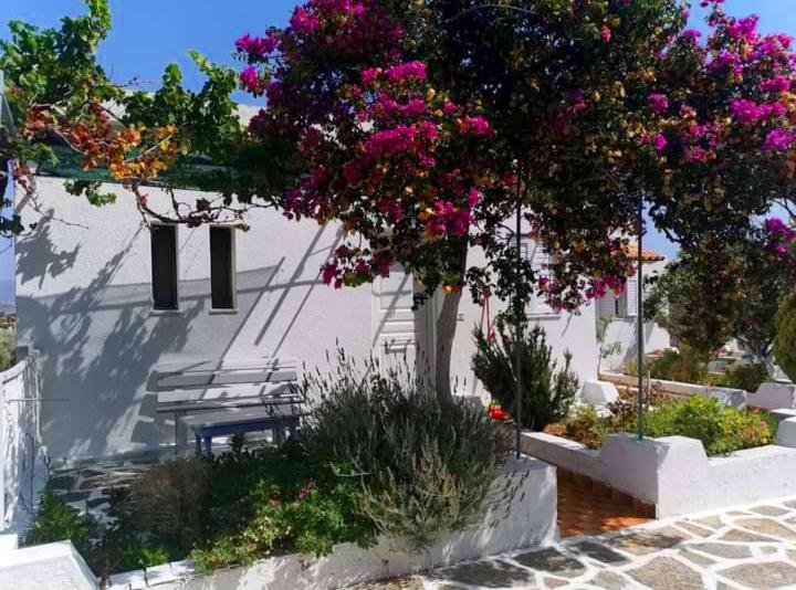 Kassandra Garden Residence Istron Exterior foto